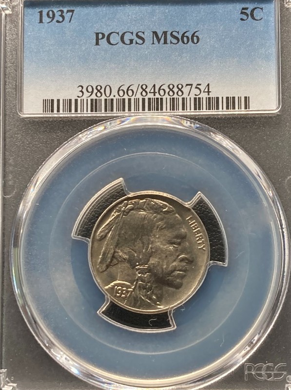 1937-Buffalo-Nickel,-You-Vs.-PCGS